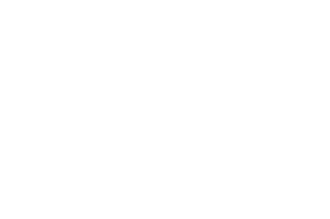 CENTR Logo 1